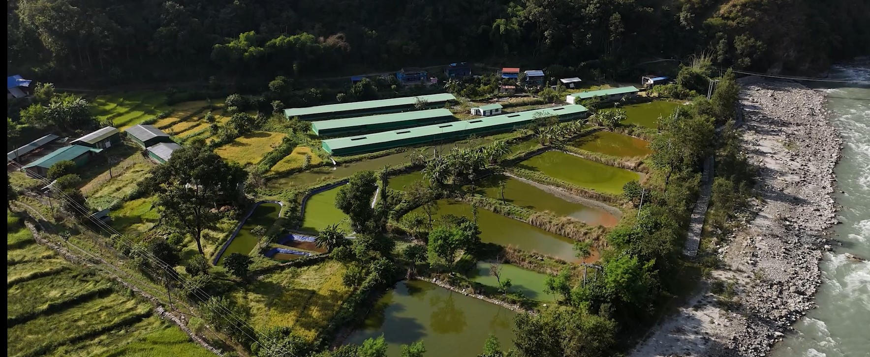 Himalaya Agro farm operations