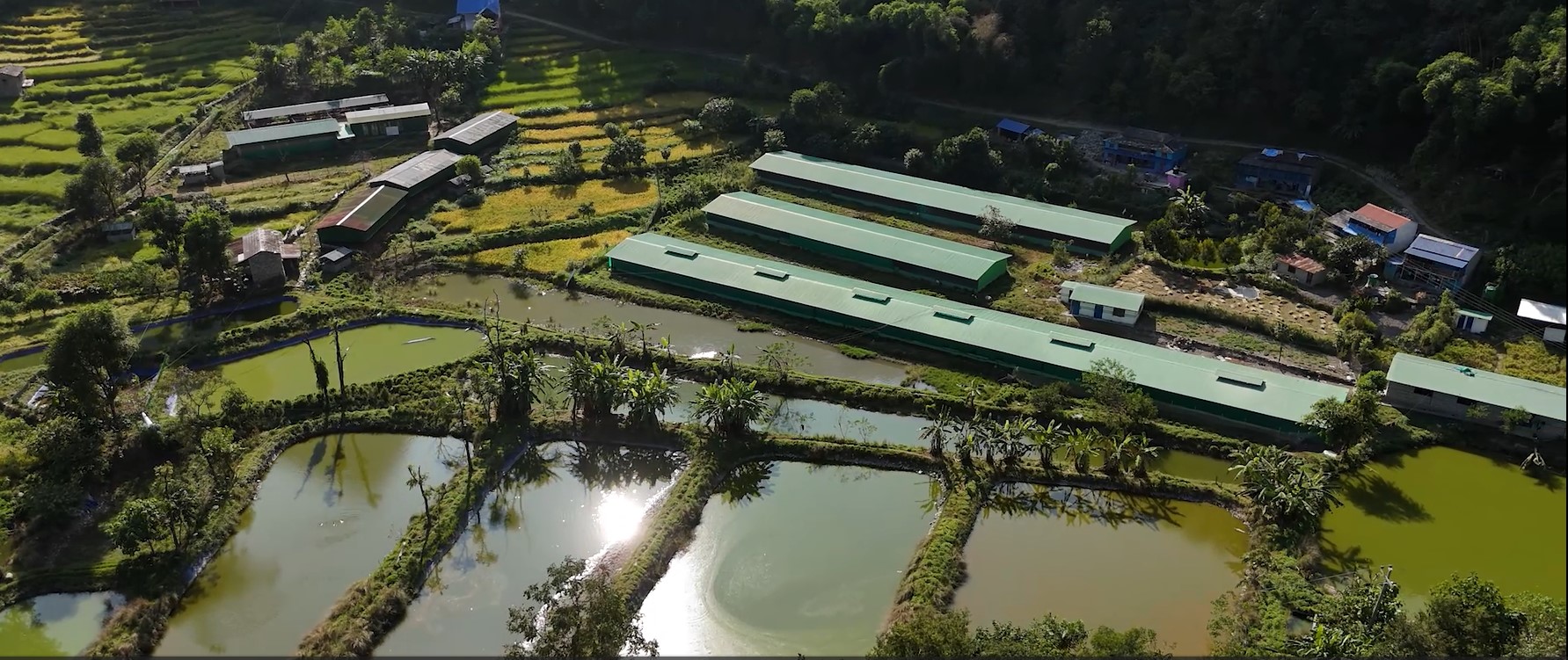 Himalaya Agro sustainable farming